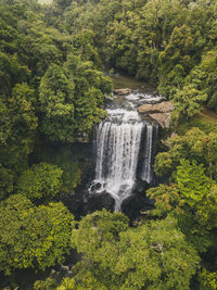 Aerial shot of zillie falls sourranded by lush green forest in tropical queensland, australia