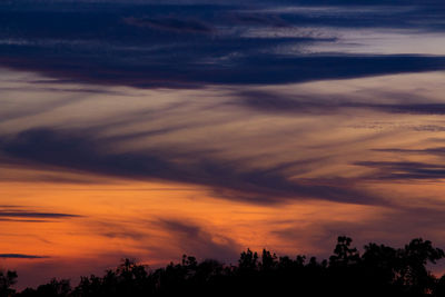 Low angle view of silhouette trees against dramatic sky