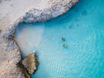 High angle view of fishes swimming in sea