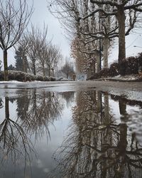 Reflection of bare trees in lake against sky