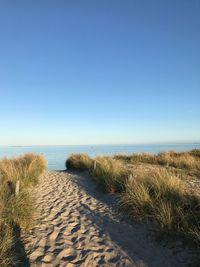 Scenic view of beach against clear blue sky