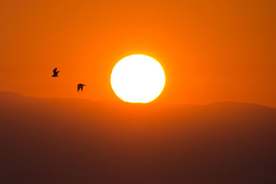 Scenic view of sunset