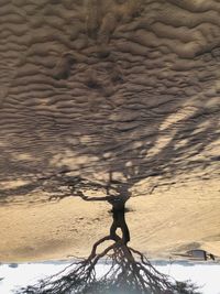 Low angle view of bare tree against sky