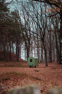 Road amidst trees in forest