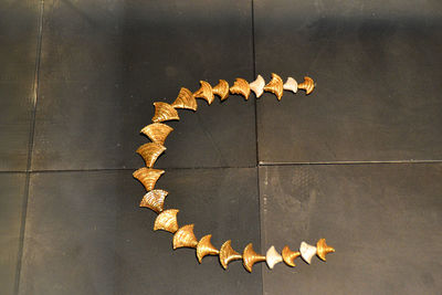 Close-up of dry autumn leaves on table