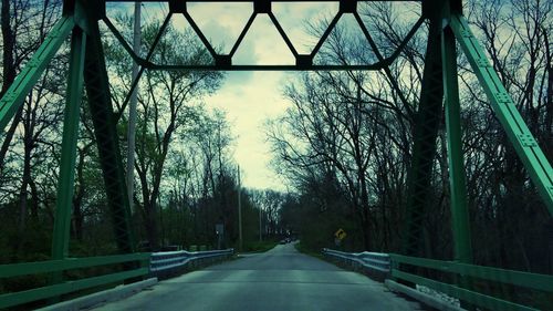 Road along trees