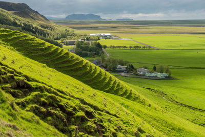 Scenic view of agricultural field against sky