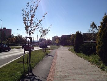 Empty road leading towards trees against blue sky