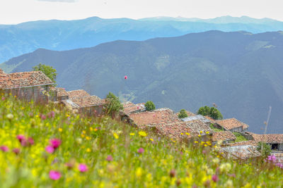 Scenic view of flowering plants and mountains against sky