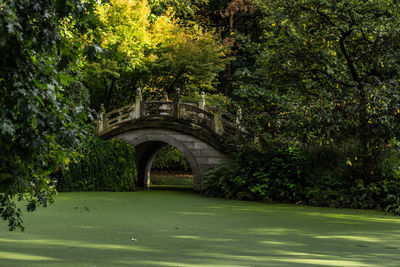 Arch bridge in park