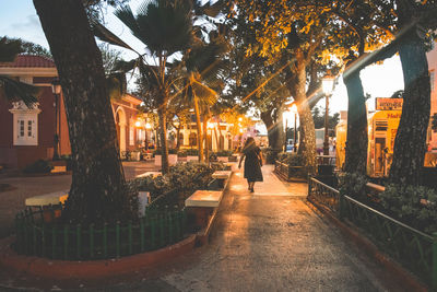 Rear view of man walking on footpath in city