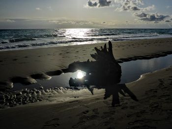 Driftwood on beach by sea against sky