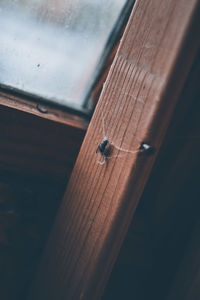 High angle view of fly on wood