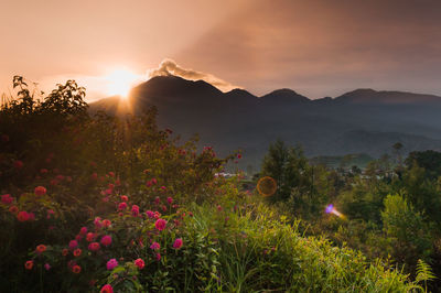 Scenic view of mountains against sky during sunset