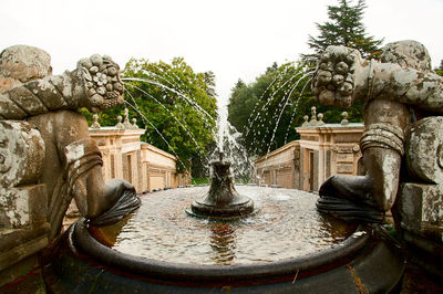 Statue of fountain in park