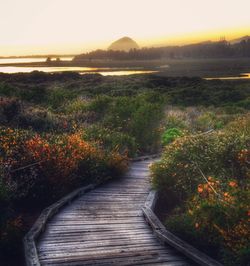 Scenic view of landscape against sky during sunset