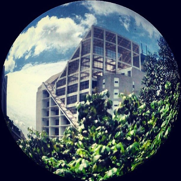 building exterior, architecture, window, built structure, glass - material, sky, growth, low angle view, green color, building, plant, tree, residential structure, house, day, residential building, city, reflection, no people, transparent