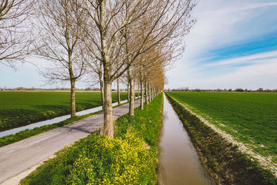 Scenic view of field by road against sky