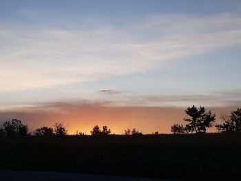 Silhouette trees on field against sky during sunset