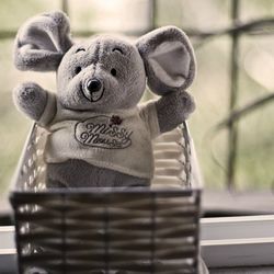 Close-up of stuffed toy