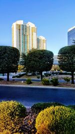 Plants growing by modern buildings against sky in city