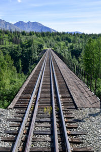 Empty train tracks through the alaskan landscape
