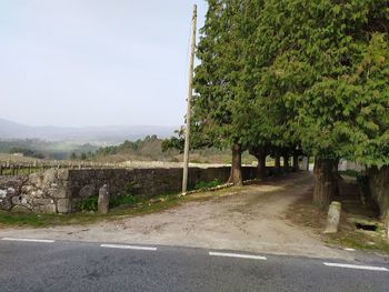 Road by trees in city against sky