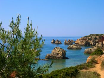 Scenic view of sea against clear sky