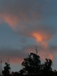 Low angle view of silhouette trees against dramatic sky