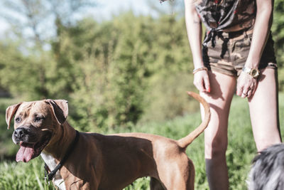 Midsection of woman standing with dog on field