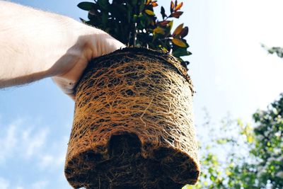 Cropped hand holding potted plant against sky