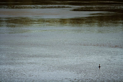 High angle view of people on beach