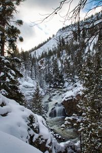 Waterfall in yellowstone national park in winter