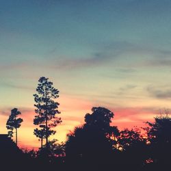 Silhouette trees at sunset