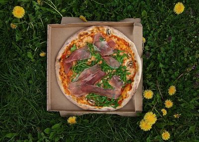 Directly above shot of pizza on grass