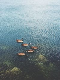 Boats in river