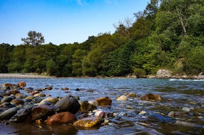 Scenic view of river against sky