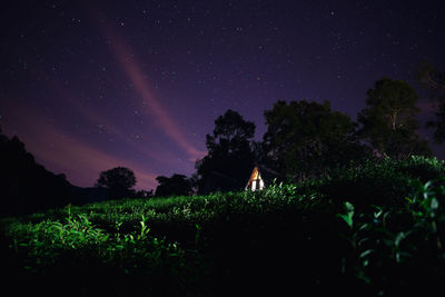 Silhouette trees on field against sky at night