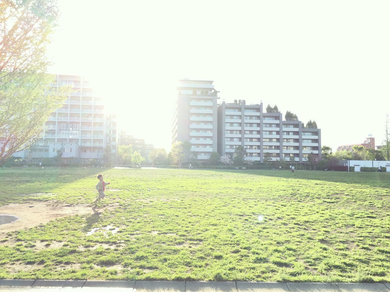 PEOPLE WALKING ON GRASSY FIELD