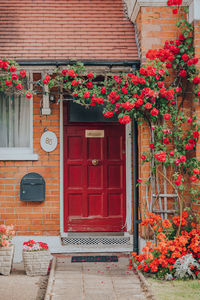 Red front door of a house in palmers green,suburban area in london borough of enfield in london, uk.