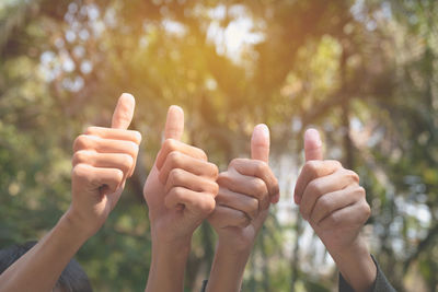 Close-up of hands gesturing thumbs up against trees