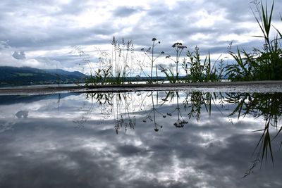 Reflection of tree in lake against sky