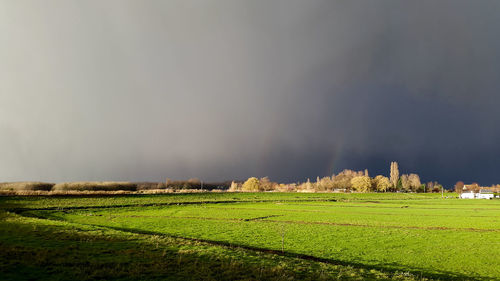 Scenic view of field against sky