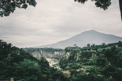 Scenic view of trees and mountains against sky