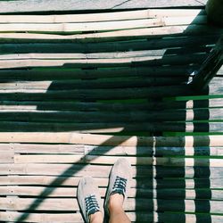 Low section of person standing on wooden steps