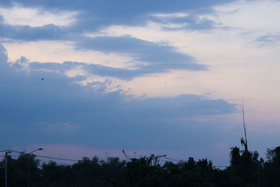 Low angle view of birds flying against sky