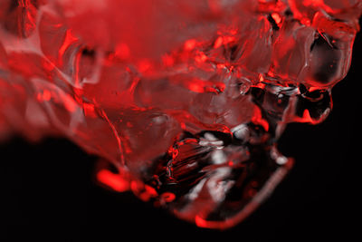 Close-up of red water