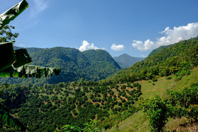 Scenic view of mountains against sky