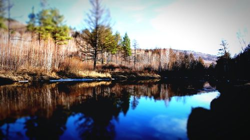 Reflection of trees in lake against sky