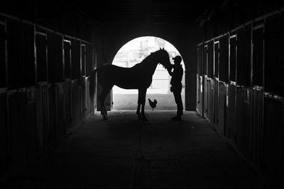 Full length of woman in stable